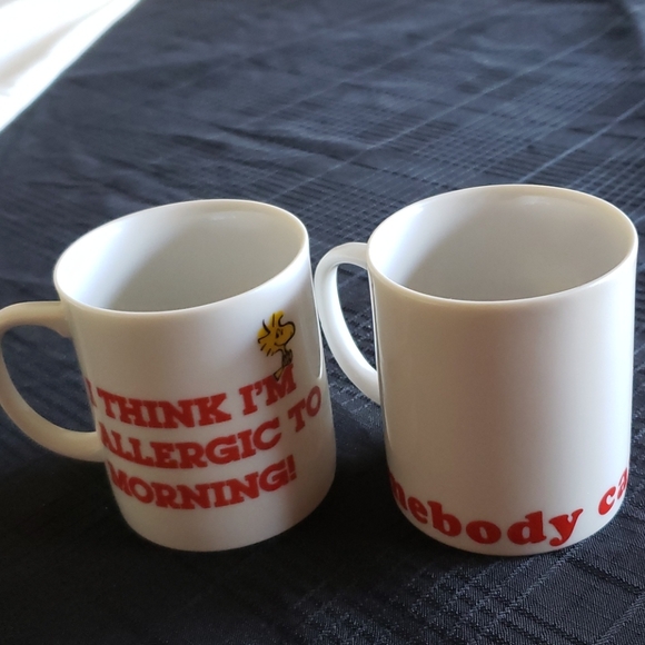 Snoopy and Woodstock Coffee Mugs. - Picture 8 of 8